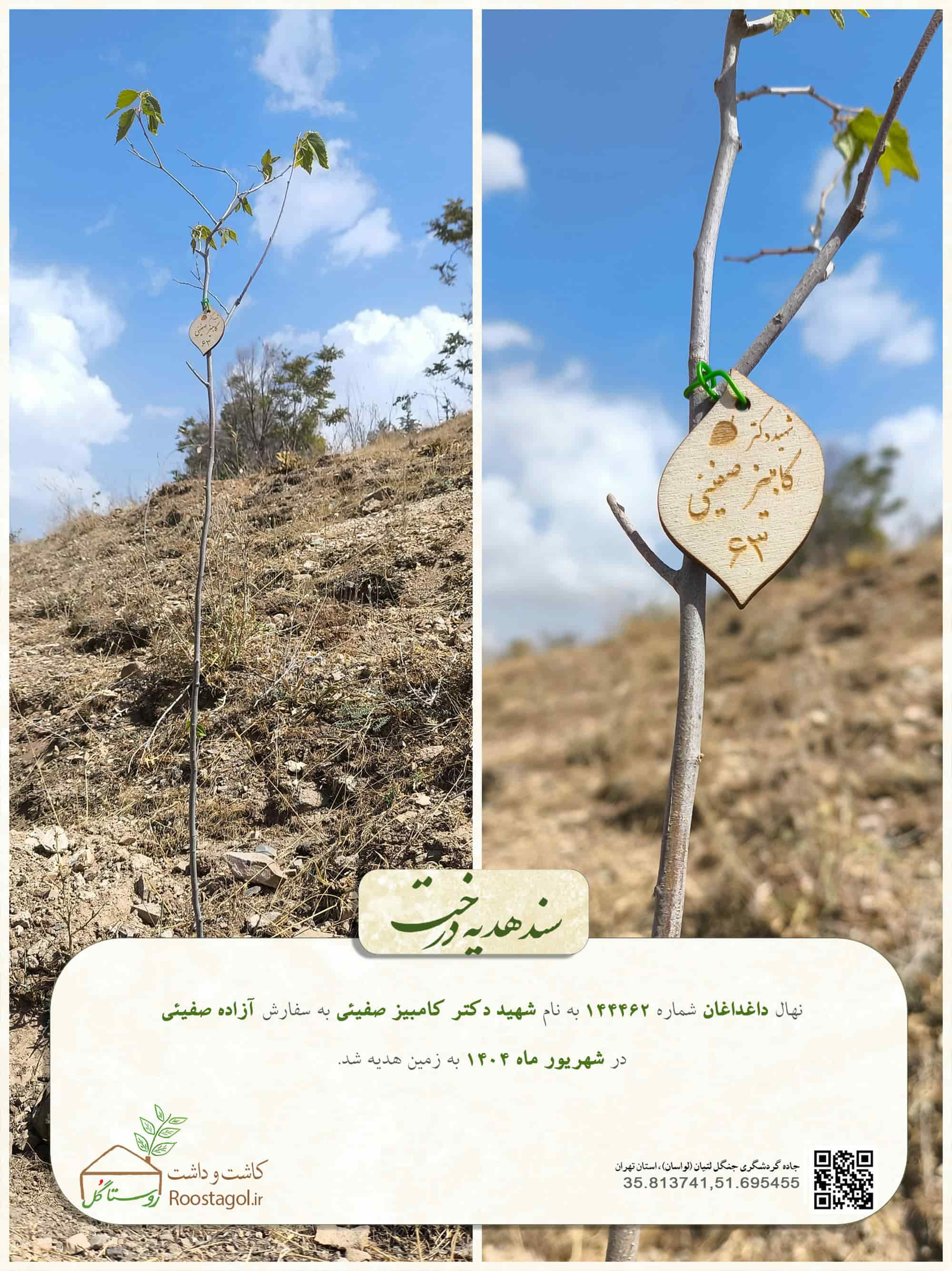 شهيد دكتر كامبيز صفيئى63